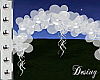 Wedding Balloon Arch