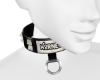 hornet collar