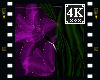 4K .:Púrpura Flower:.