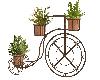 Antique Bicycle Planter