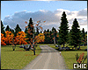 !T! Autumn Countryside