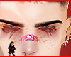 Dvmu brows