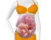Twins Belly Xray