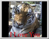 I love you Tiger-B