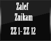 ZALEF - Znikam