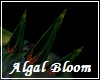 Algal Bloom Spikes