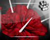 Rose Crown -Silver