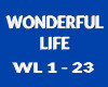 [iL] Wonderful Life