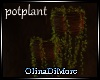 (OD) Hanging pot plant
