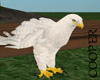 !A White Eagle