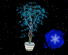 Blue Potted Plant *anm