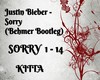 Justin Bieber-Sorry(RMX)
