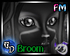 Witching Hour Broom V3