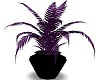 Fern~Plant~Purple