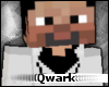 ® Minecraft : Qwark