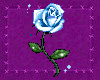K. Blue Animated Rose