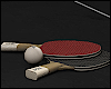 Ping Pong Table