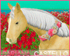 [FC] Day Dream Horse 2