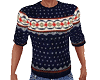 TF* Blue Sweater Male