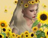 Honey Sunflower