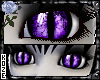 Feline - Purple