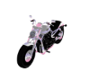 CupioSexual Motorcycle