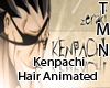 [TMN] Kenpachi Hair