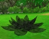 dark shockwave lotus