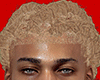 Blonde Locs