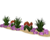 Garden Flowers