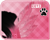 [Pets] Vimi |feathers v3