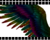 {C} Rainbow Wings