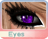 (OvO) Bear Purple Eyes