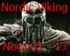 Nordic Viking