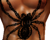 [qmr]Spider tattoo