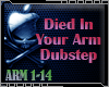 DJ! Died In Your Arm DuB