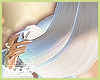 _Wren Blanca Req_