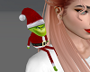 Grinch Pet