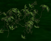 Green Ivy Patch Swirl