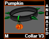 Pumpkin Collar M V3