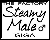 TF Steamy Male Avi Giga