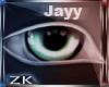 Zk|Jayy von Eyes~