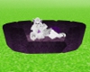 purple pet bed