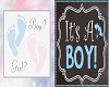 ~G~ Baby Gender Reveal B