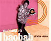 orchestra baobab poster