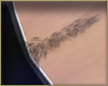 Belly hair tattoo