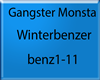 Winterbenzer