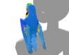 parrot