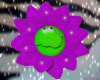 Friendship Flower 1