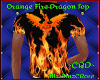 ~Orange Fire Dragon Shir